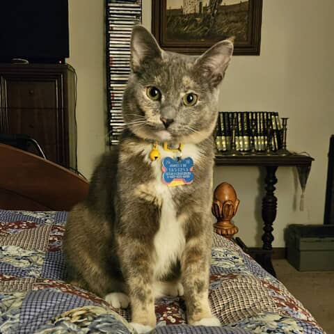 Maggie