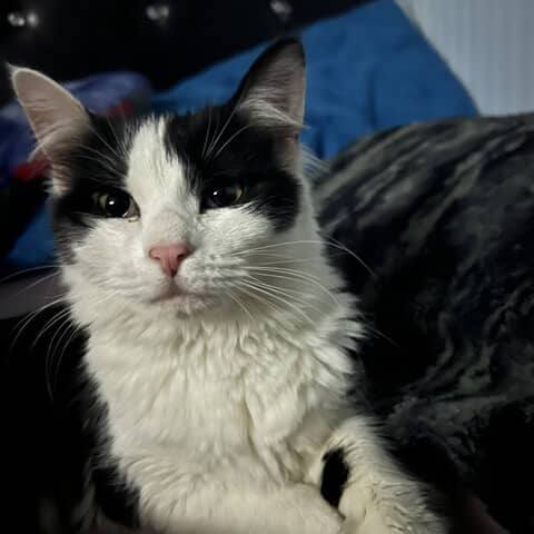 Luna