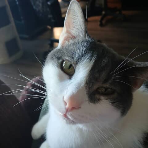 Jack