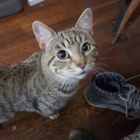 Tex