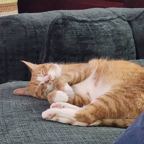Zuko