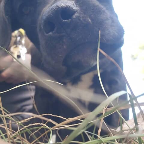 Bruce wayne