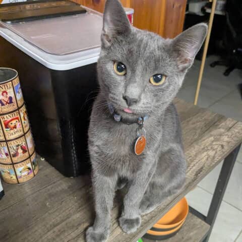 Freya