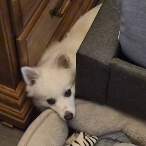 Tucker