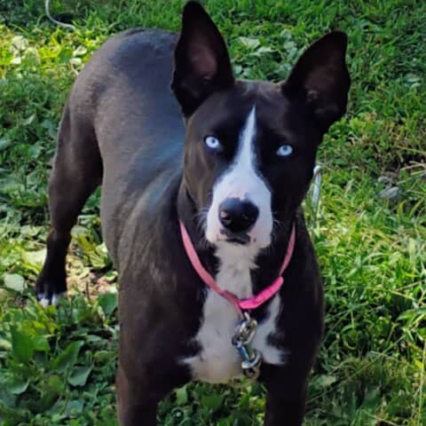 Maggie Mae