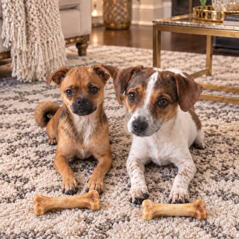 Kash & Blaze