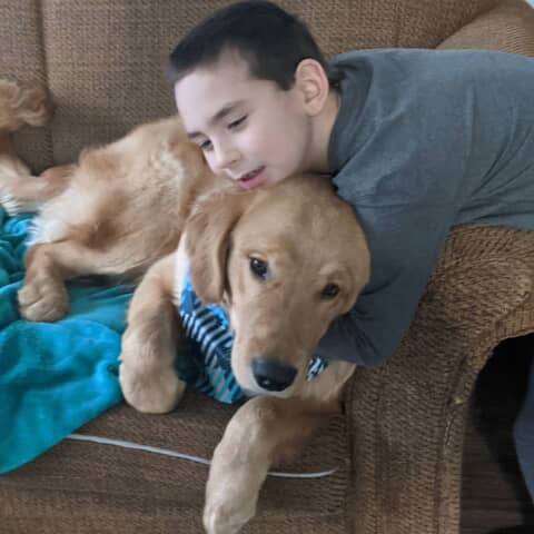 Teddy