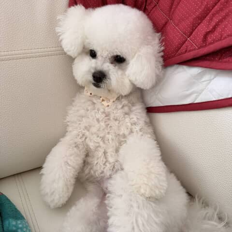 Coco