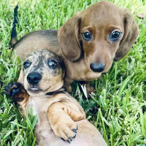Grace and Monty