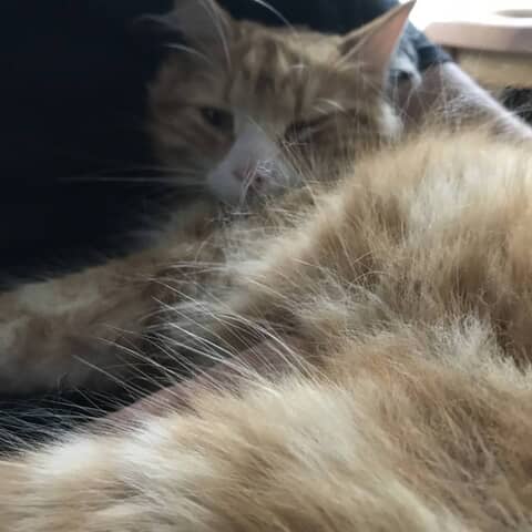 William