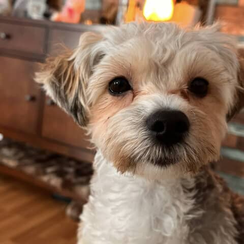 Millie