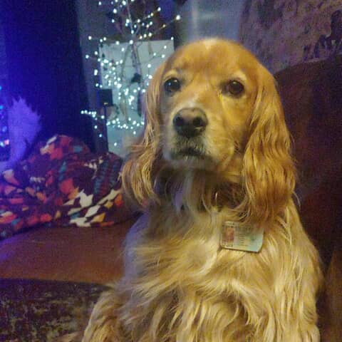 Roscoe