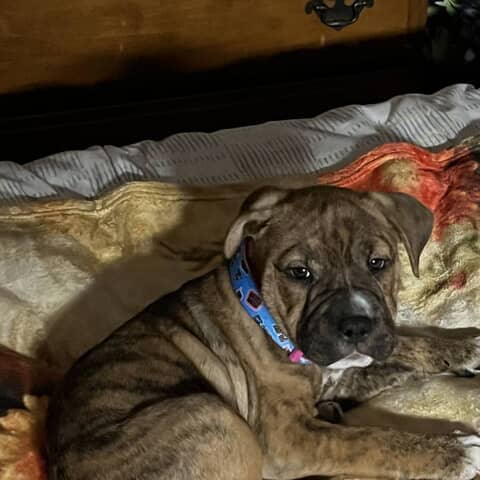Nevaeh