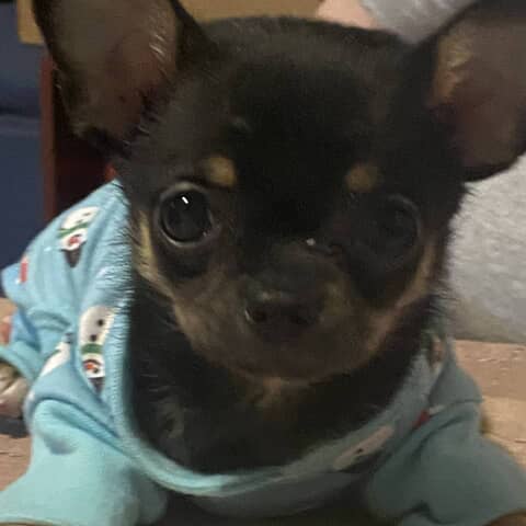 Oakley
