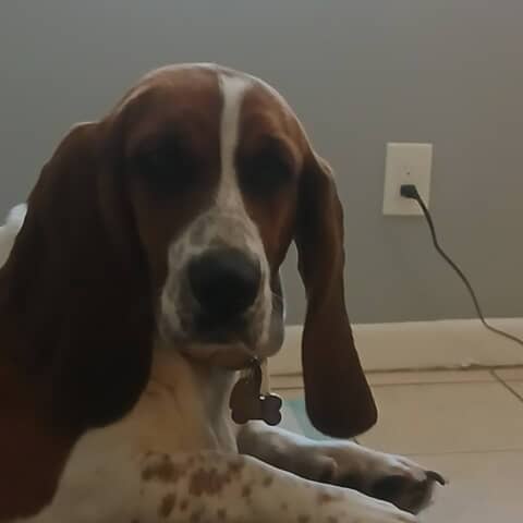 Daisy Mae