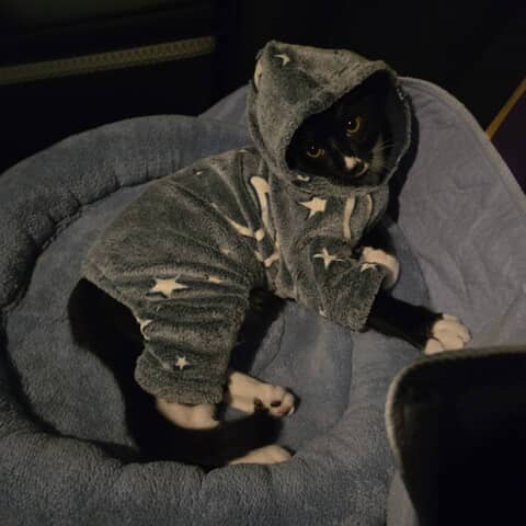 OREO