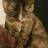 Shannon
