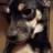 Gerry M.