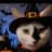 Judy S.